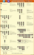 Southern Pacific Railroad Signal Indications