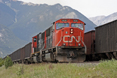 Canadian National SD75s Poster